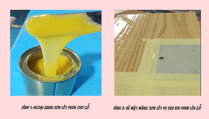 ngoại quan sơn l&oacute;t PU2K