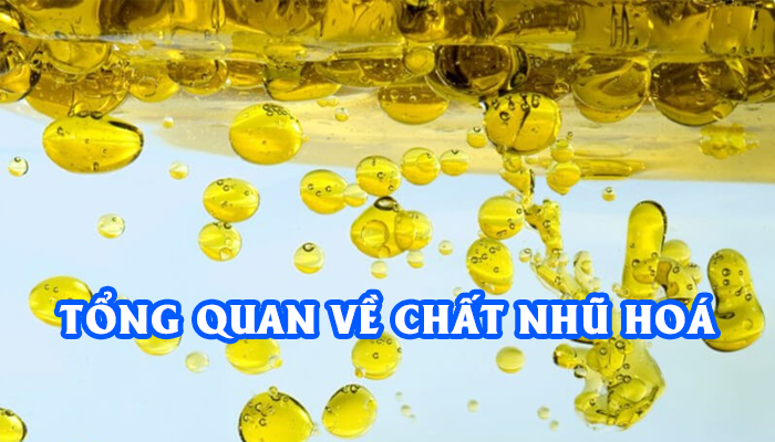 TỔNG QUAN VỀ CHẤT NHŨ HOÁ