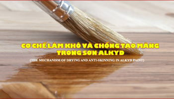 CƠ CHẾ LÀM KHÔ VÀ CHỐNG TẠO MÀNG TRONG SƠN ALKYD