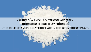 VAI TRÒ CỦA AMONI POLY PHOSPHATE (APP) TRONG SƠN CHỐNG CHÁY PHỒNG NỞ