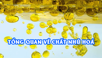 TỔNG QUAN VỀ CHẤT NHŨ HOÁ